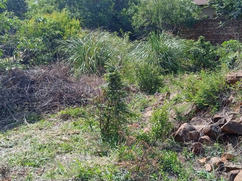 Your Designer Home Starts Here—Ample Space to Build - Photo 9