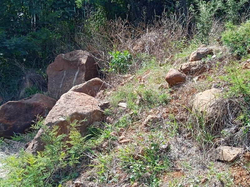 Your Designer Home Starts Here—Ample Space to Build - Photo 8