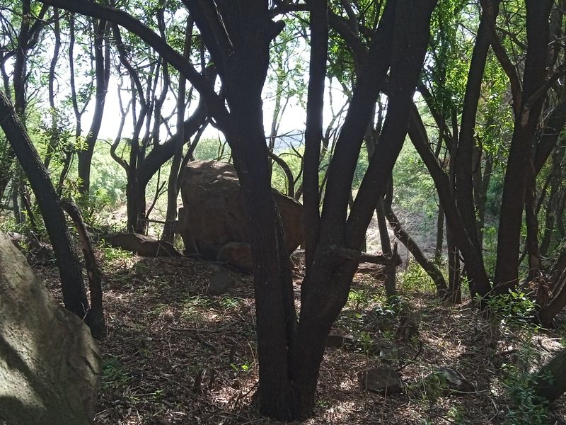 Your Designer Home Starts Here—Ample Space to Build - Photo 6