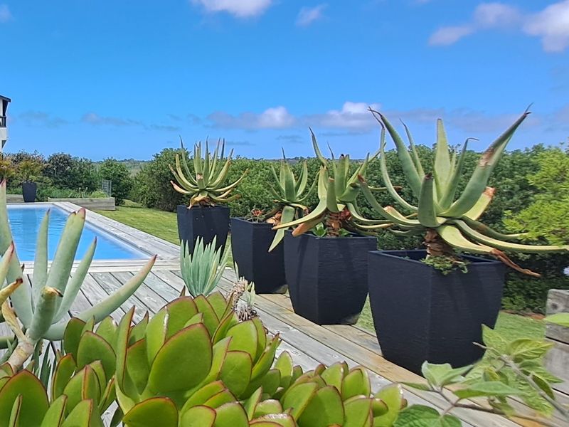 Outdoor pool area featuring a swimming pool set within a timber deck, overlooking a landscaped garden and natural surroundings.