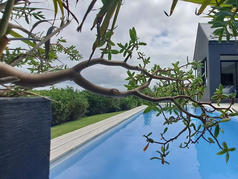 A modern swimming pool area featuring timber decking and direct access to the home through large sliding glass doors.