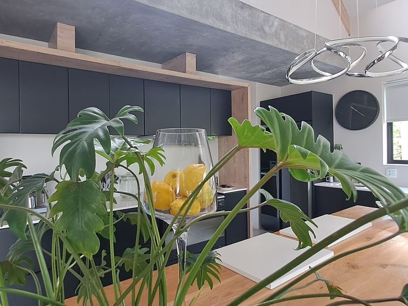 Modern kitchen featuring sleek dark cabinetry, a natural timber island, and a contemporary concrete-look bulkhead, creating a sophisticated and functional culinary space.
