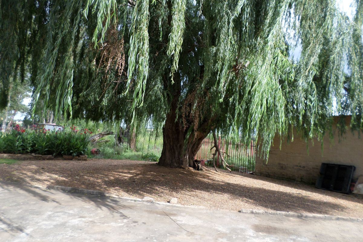 11,61h Small Holding For Sale - Photo 3