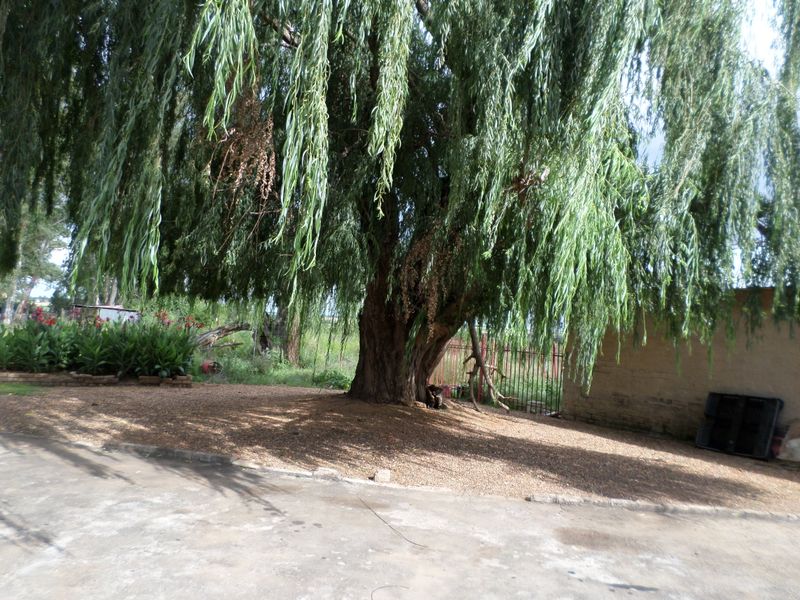 11,61h Small Holding For Sale - Photo 3