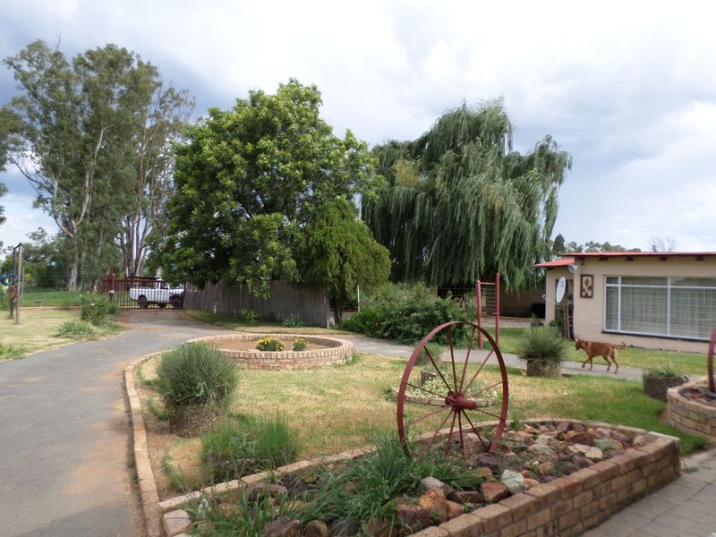 11,61h Small Holding For Sale - Photo 2