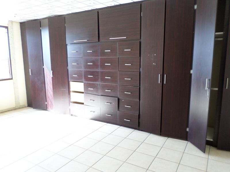 11,61h Small Holding For Sale - Photo 9