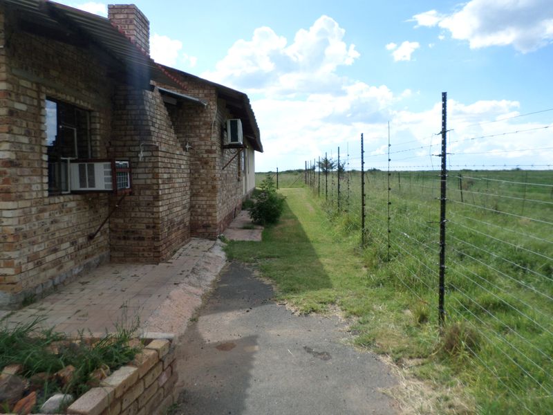 11,61h Small Holding For Sale - Photo 4