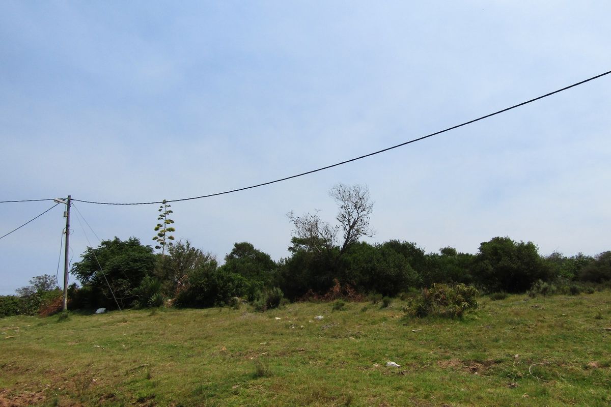 Not To Be Missed - Photo 3