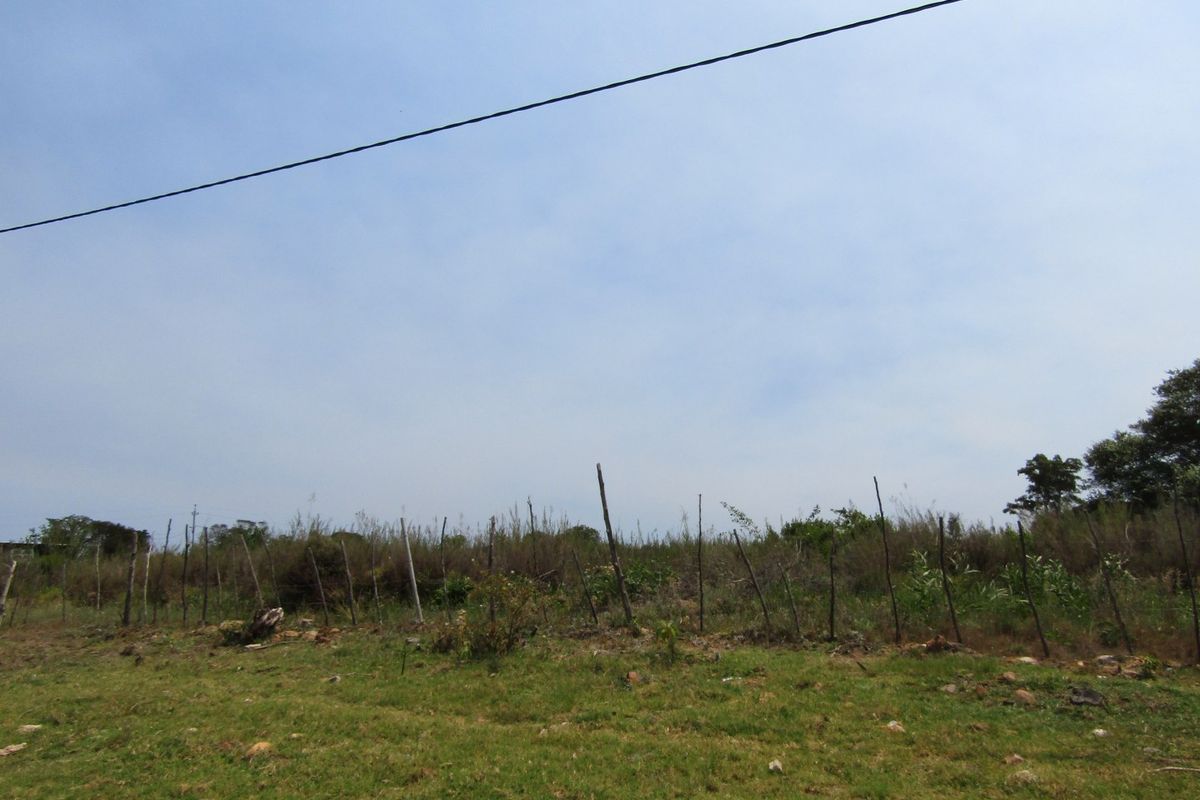 Not To Be Missed - Photo 5