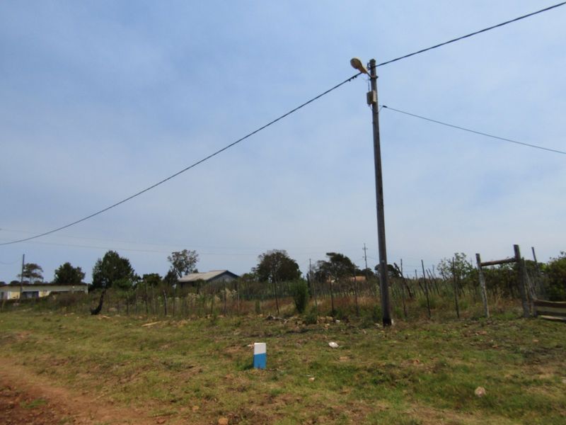 Not To Be Missed - Photo 8