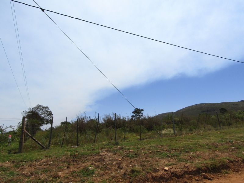 Not To Be Missed - Photo 9