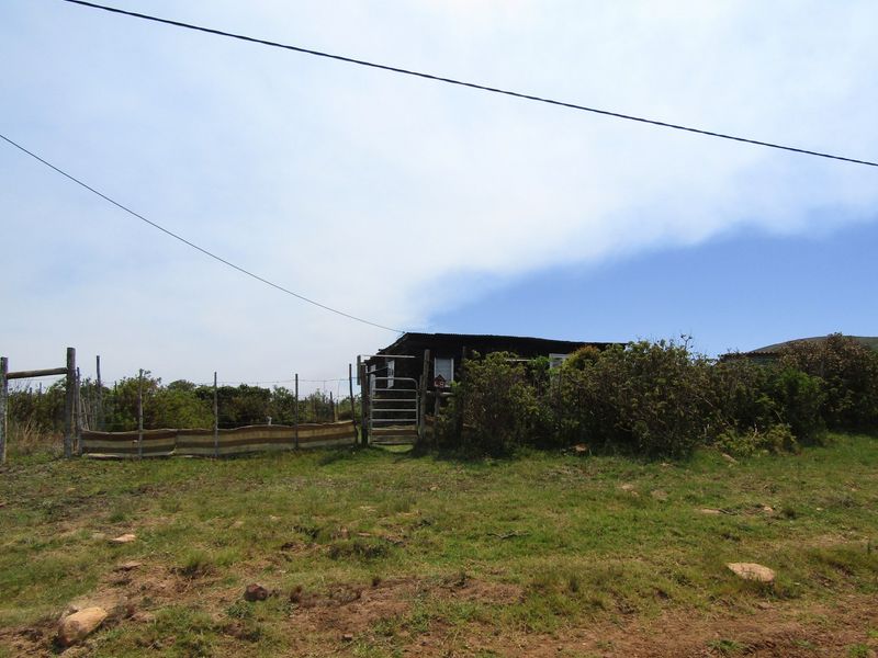 Not To Be Missed - Photo 7