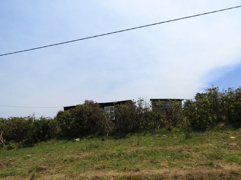 Not To Be Missed - Photo 6