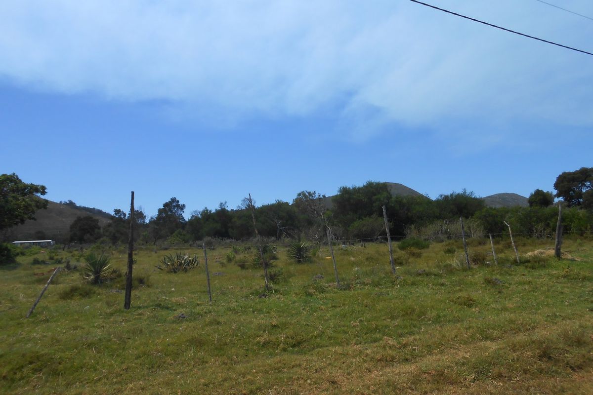 Not To Be Missed - Photo 4