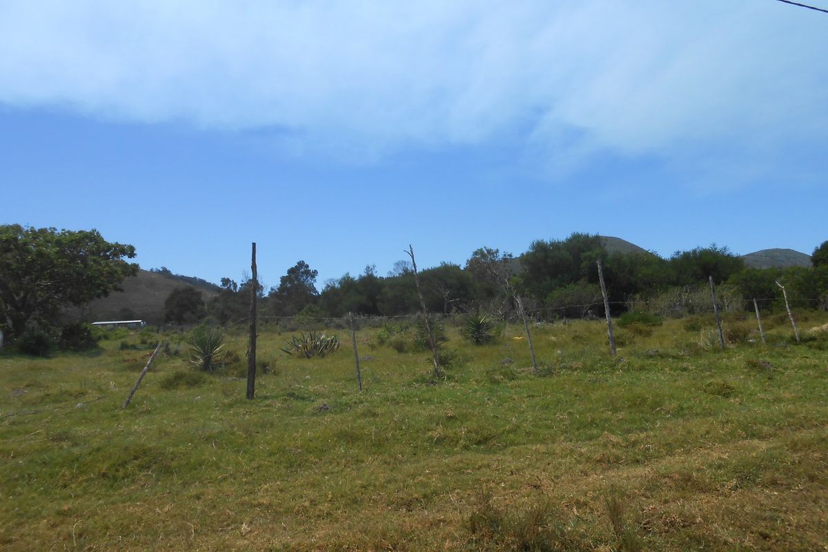 Not To Be Missed - Photo 2