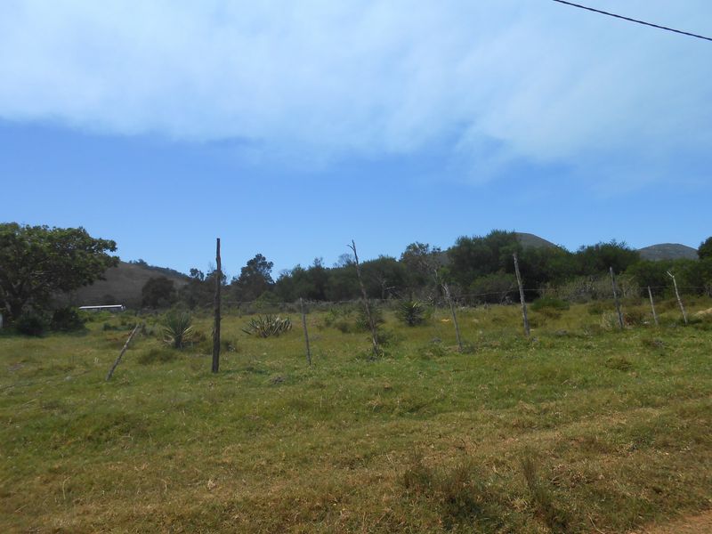 Not To Be Missed - Photo 2