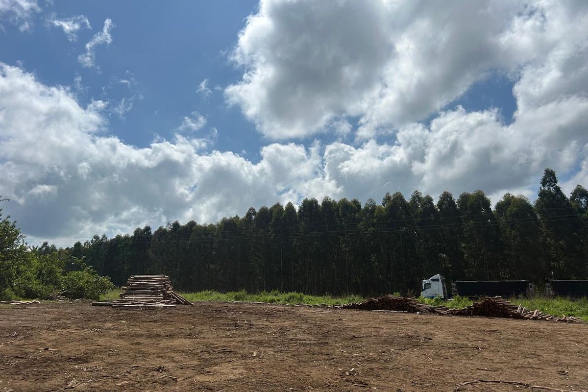 Vacant land, Mthonjaneni/Melmoth district - Photo 3