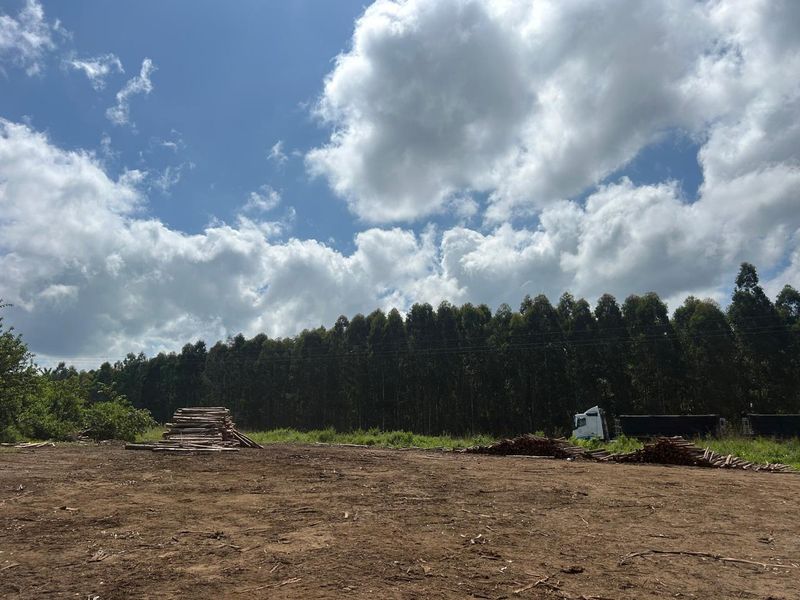 Vacant land, Mthonjaneni/Melmoth district - Photo 3