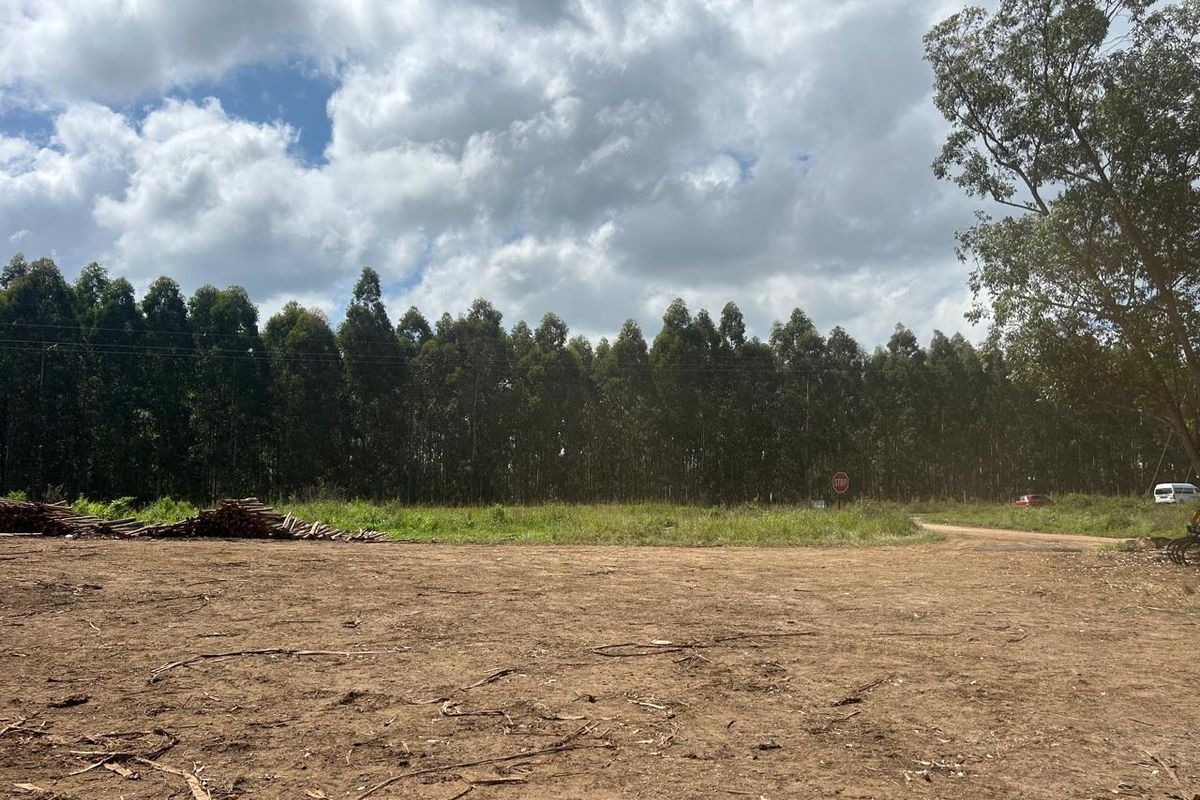 Vacant land, Mthonjaneni/Melmoth district - Photo 4