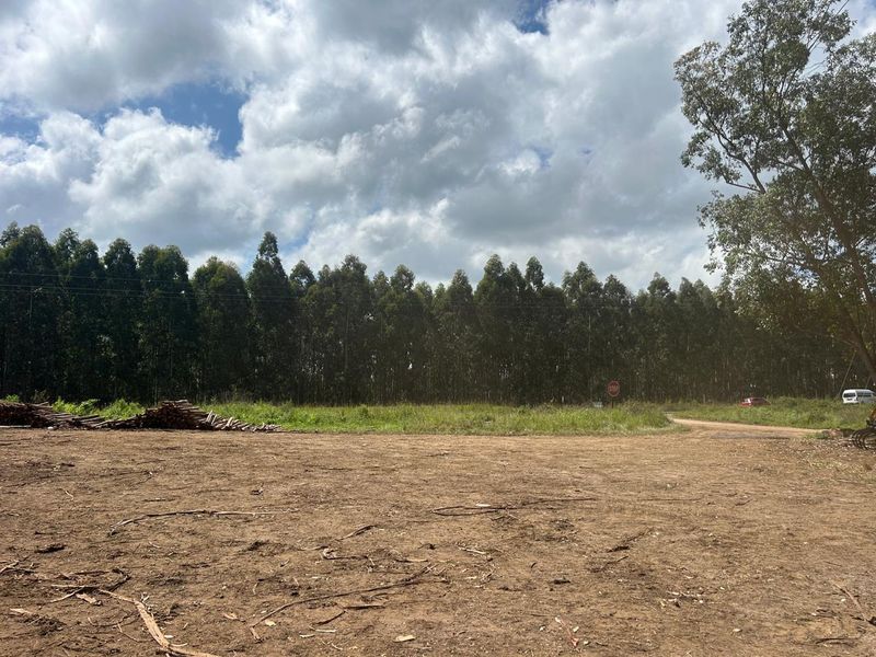 Vacant land, Mthonjaneni/Melmoth district - Photo 4