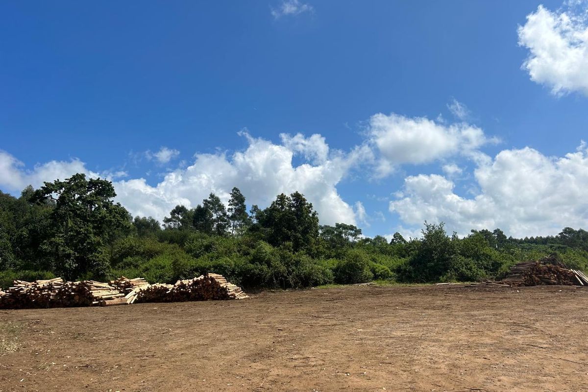Vacant land, Mthonjaneni/Melmoth district - Photo 2