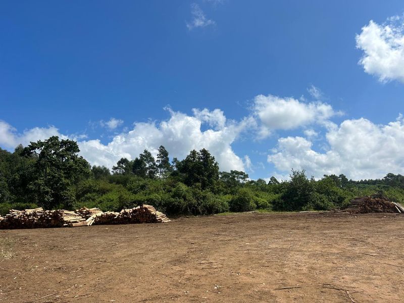 Vacant land, Mthonjaneni/Melmoth district - Photo 2