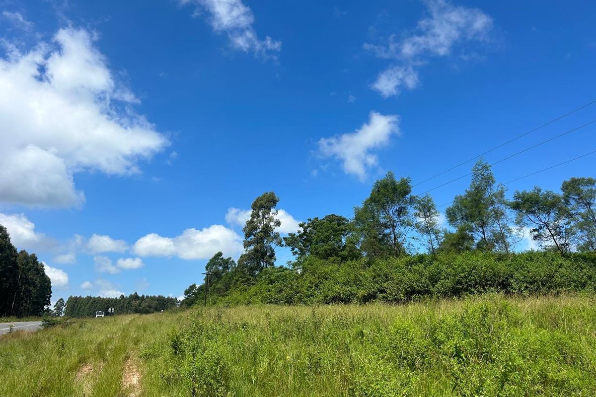 Vacant land, Mthonjaneni/Melmoth district - Photo 5