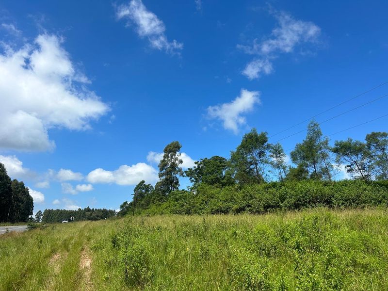 Vacant land, Mthonjaneni/Melmoth district - Photo 5