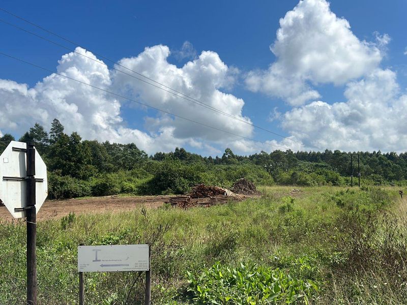 Vacant land, Mthonjaneni/Melmoth district - Photo 7