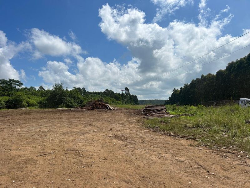 Vacant land, Mthonjaneni/Melmoth district - Photo 6