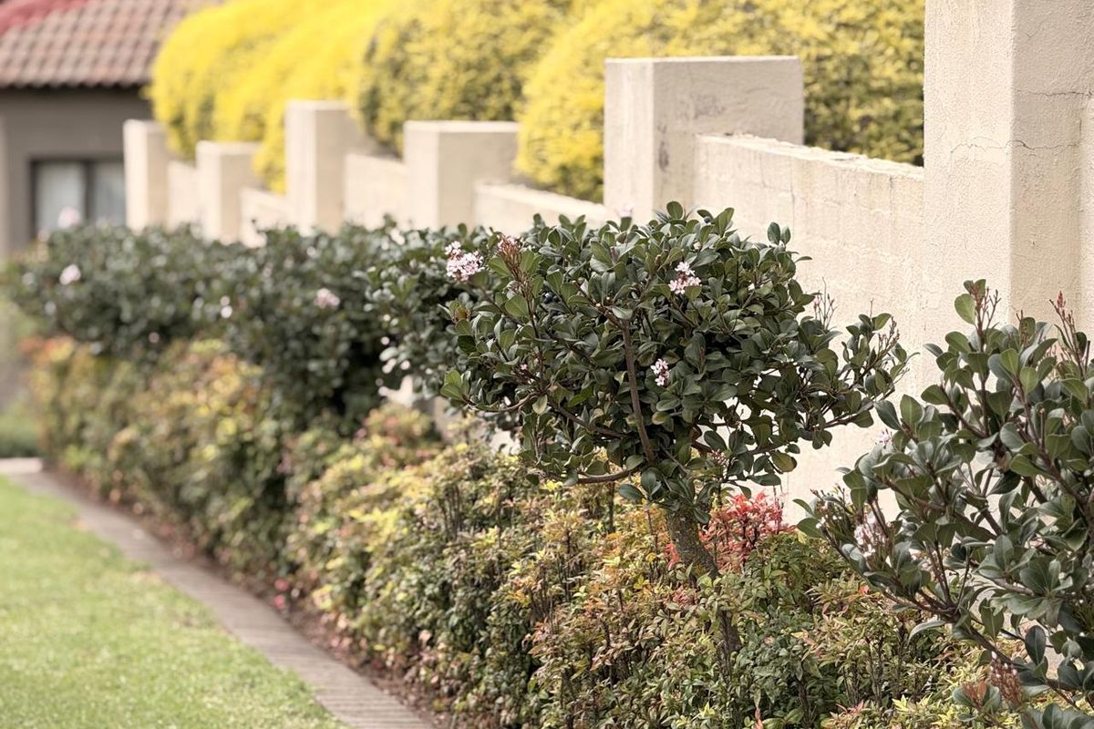 Secure 3 Bedroom Townhouse in Schuinshoogte Next to Aviary Hill - Photo 2