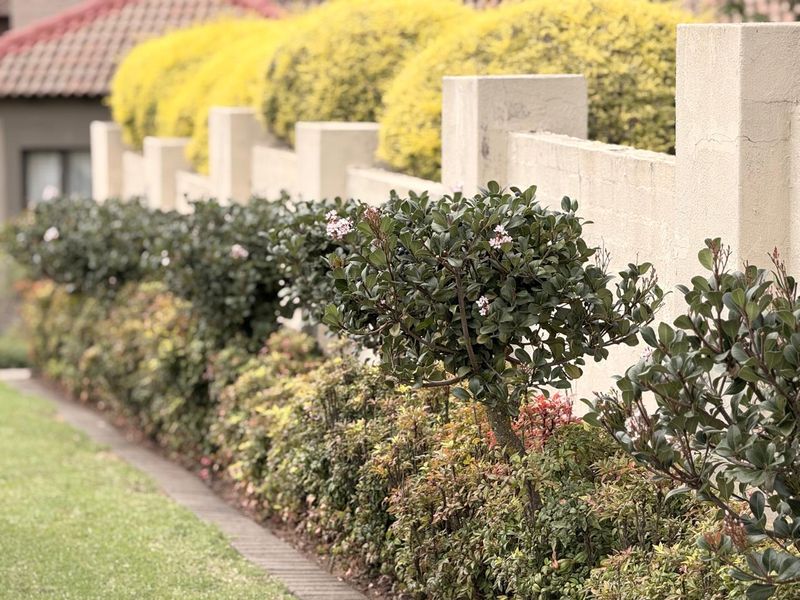 Secure 3 Bedroom Townhouse in Schuinshoogte Next to Aviary Hill - Photo 2