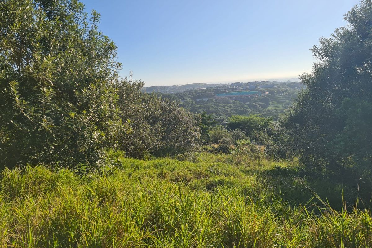 Exceptional Vacant Land with Golf Course Views - Prime Opportunity to Build Your Dream Home - Photo 2