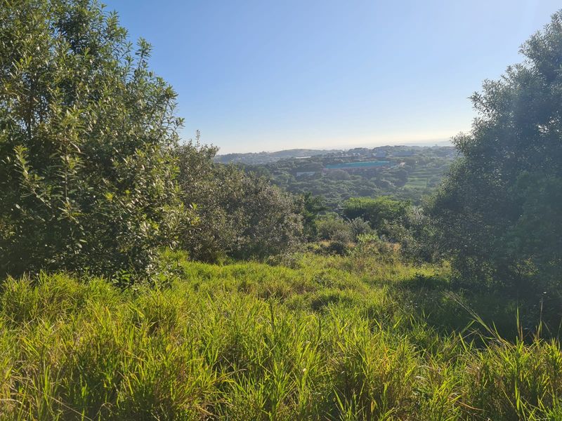 Exceptional Vacant Land with Golf Course Views - Prime Opportunity to Build Your Dream Home - Photo 2