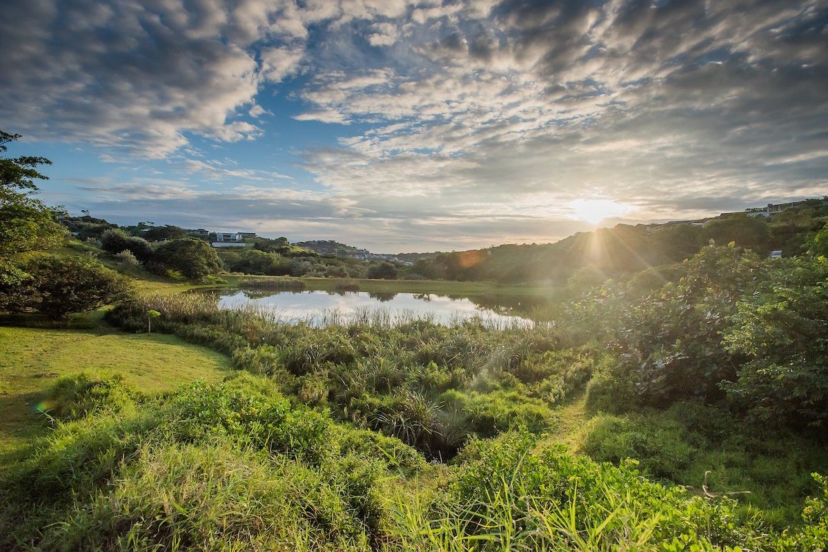A scenic view of a natural pond surrounded by lush greenery and rolling hills, capturing the tranquil landscape of the vacant residential land.