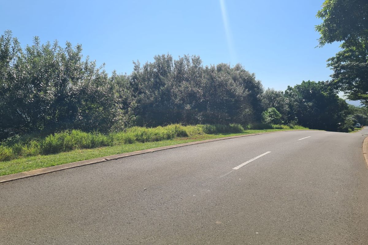 Exceptional Vacant Land with Golf Course Views - Prime Opportunity to Build Your Dream Home - Photo 4