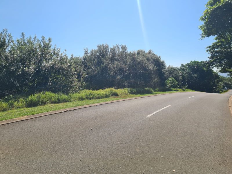 Exceptional Vacant Land with Golf Course Views - Prime Opportunity to Build Your Dream Home - Photo 4