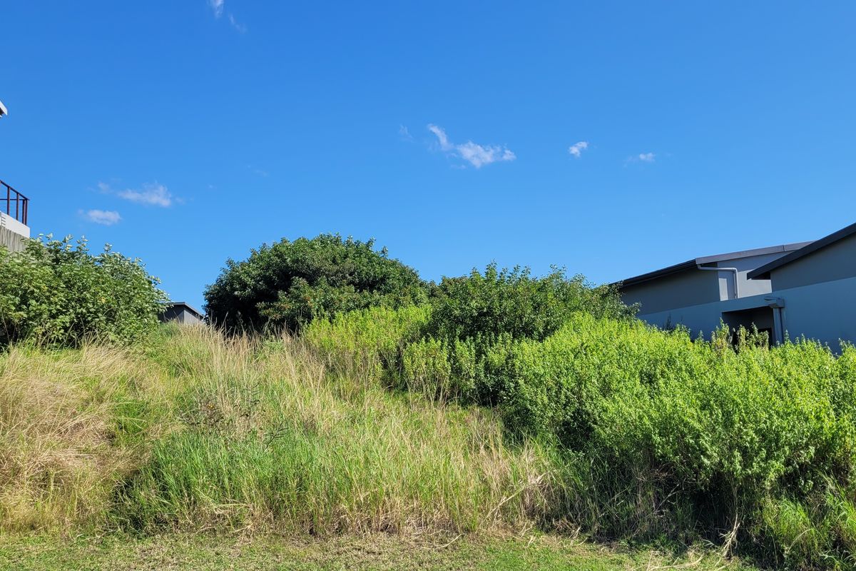 "Discover the canvas for your dream home at Palm Lakes Estate - Photo 2