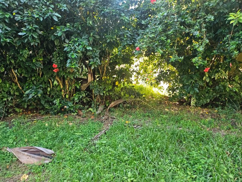 Exceptional 4,782m2 Vacant Land with Business Rights – Beachfront Opportunity! - Photo 8