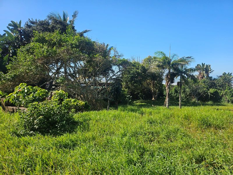 Exceptional 4,782m2 Vacant Land with Business Rights – Beachfront Opportunity! - Photo 7