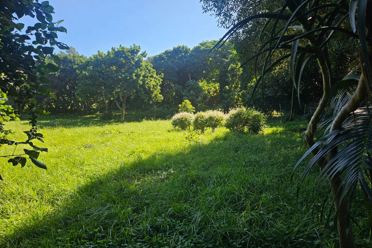 Exceptional 4,782m2 Vacant Land with Business Rights – Beachfront Opportunity! - Photo 5