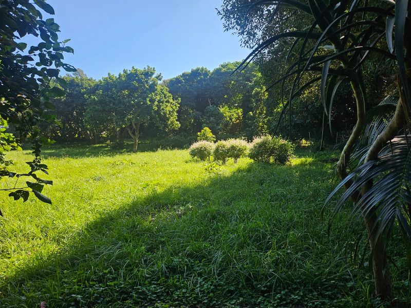 Exceptional 4,782m2 Vacant Land with Business Rights – Beachfront Opportunity! - Photo 5