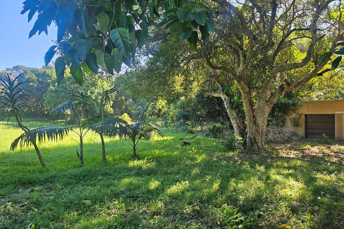 Exceptional 4,782m2 Vacant Land with Business Rights – Beachfront Opportunity! - Photo 4