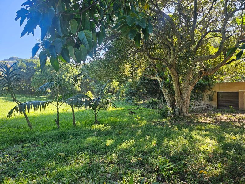 Exceptional 4,782m2 Vacant Land with Business Rights – Beachfront Opportunity! - Photo 4