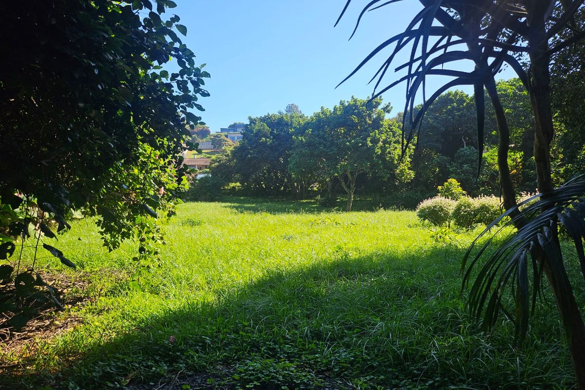 Exceptional 4,782m2 Vacant Land with Business Rights – Beachfront Opportunity! - Photo 3