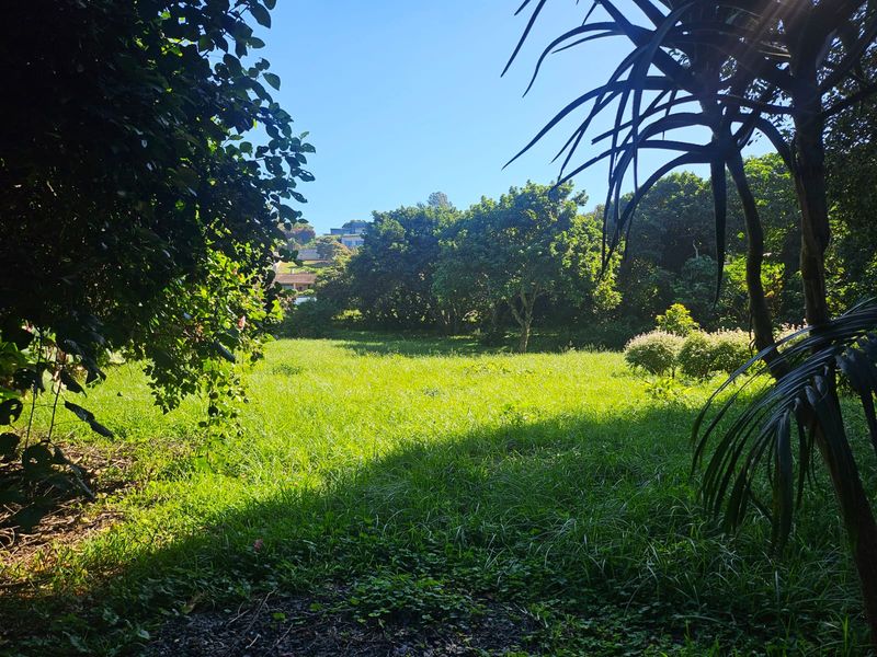 Exceptional 4,782m2 Vacant Land with Business Rights – Beachfront Opportunity! - Photo 3