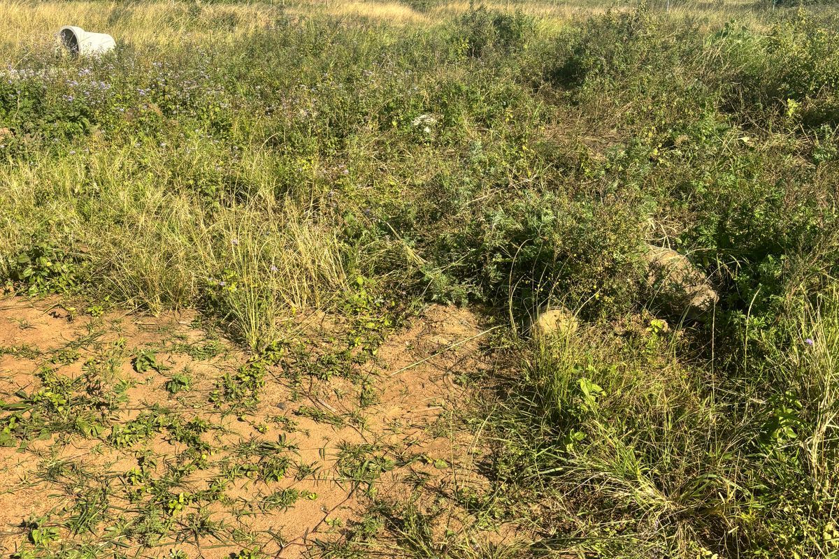 Discover the Beauty of Lalela Land – Coastal Living Near Ballito from R825,000 - Photo 5