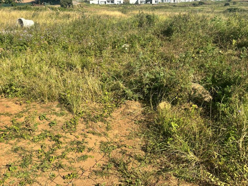 Discover the Beauty of Lalela Land – Coastal Living Near Ballito from R825,000 - Photo 5