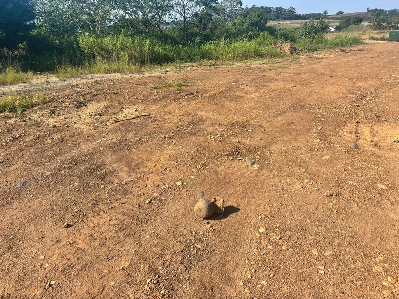 Discover the Beauty of Lalela Land – Coastal Living Near Ballito from R825,000 - Photo 9