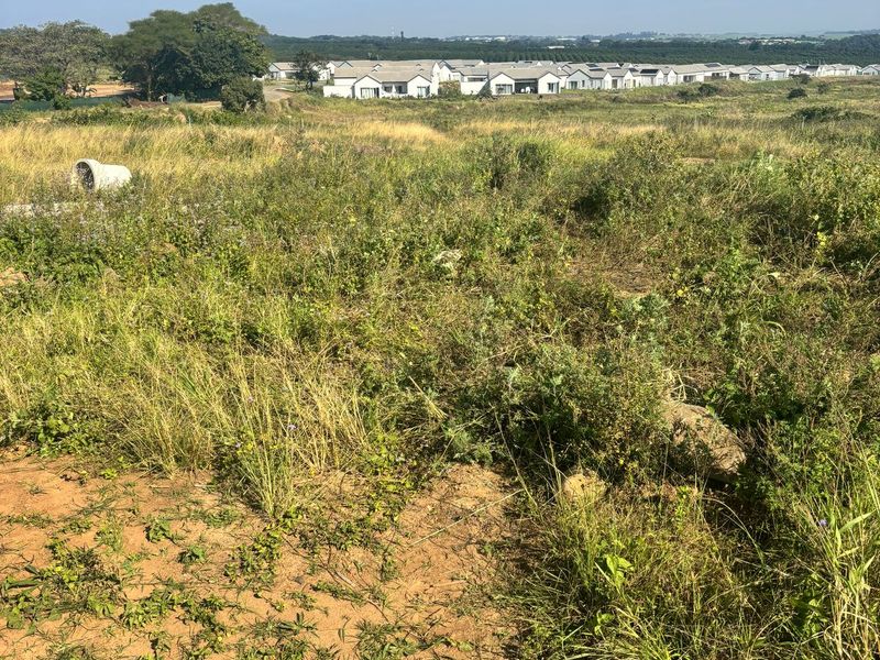 Discover the Beauty of Lalela Land – Coastal Living Near Ballito from R825,000 - Photo 2
